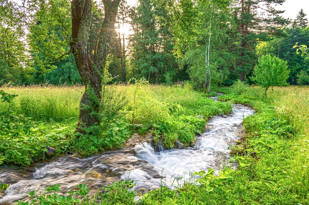 creek flowing through meadows